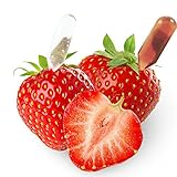 Pusheng Mini Flavor Injector Food Safe Squeeze Pipettes Good helper for Mom,100pcs/1ml