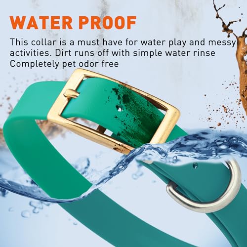Image of Viper Biothane Heavy Duty Waterproof Dog Collar Strong Coated Nylon Webbing w /Solid Brass Hardware Odor-Proof Easy to Clean High Performance Fits Small Medium or Large Dogs, Teal