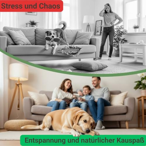Heygret Kauknochen aus Kaffeeholz für Hunde L - Natürliches Kauspielzeug zur Zahnpflege & Stressabbau - Langanhaltende Beschäftigung mit nachhaltigem Kauholz - Kaustab