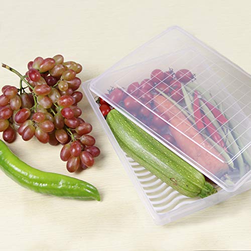 Yiautao Food Storage Container, Plastic Food Containers With Removable Drain Plate And Lid, Stackable Portable Freezer Storage Containers - Tray To Keep Fruits, Vegetables, Meat And More (4,Large) #TOP6