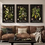 Large Vintage Framed Botanical Wall Art for Living Room, 3 Piece Dark Green Plant Canvas Paintings Prints, Retro Coffee Botanical Leaf Pictures for Dining Room Coffee Bar Kitchen Wall Decor, 24x36 In