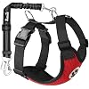 SlowTon Dog Seat Belt Harness for Car, Dog Car Harness Adjustable Mesh Breathable & Dog Seatbelt Safety Tether with Elastic Bungee for Small Medium Large PetsRed, Double Clip, S