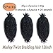 3 Packs Marley Twist Braiding Hair, 12 Inch Pre-Separated Springy Afro Twist Hair Kinky Twist Crochet Hair Braids for Distressed Soft Locs Spring Twist Hair for Women (12 Inch (Pack of 3), 1B)