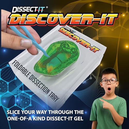 Image of Discover it Butterfly, Science Lab Kit, STEM Toys for Kids, Ages 5+ | Butterfly Life Cycle: Open a synthetic chrysalis to discover butterfly stages while learning about metamorphosis and STEM