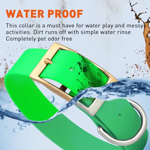 Image of Viper Biothane Heavy Duty Waterproof Dog Collar Strong Coated Nylon Webbing w /Solid Brass Hardware Odor-Proof Easy to Clean High Performance Fits Small Medium or Large Dogs, Tropical Green