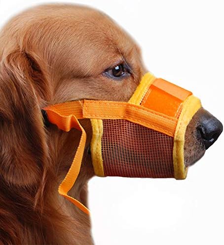 soft muzzle to stop scavenging