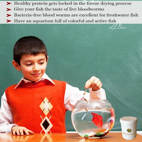 Sungrow Freeze Dried Bloodworms For Betta And Tropical Fish, 0.52 Oz., High Protein Treat, Floating Food For Breeding Tanks #TOP4