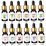 RORPOIR Humidificateur Aromathérapie à Domicile Huiles Hydrosolubles Huile D'air Frais Huile Soluble Dans L'eau