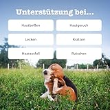 Zesty Paws Juckreizlinderung für Hunde | Empfindliche Haut | Hypoallergene Allergielinderung | Anti-Juckreiz & Allergielinderung | Für Hunde, die kratzen, jucken & lecken | Omega-3-Fettsäuren | 90 Stk