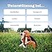 Zesty Paws Juckreizlinderung für Hunde | Empfindliche Haut | Hypoallergene Allergielinderung | Anti-Juckreiz & Allergielinderung | Für Hunde, die kratzen, jucken & lecken | Omega-3-Fettsäuren | 90 Stk