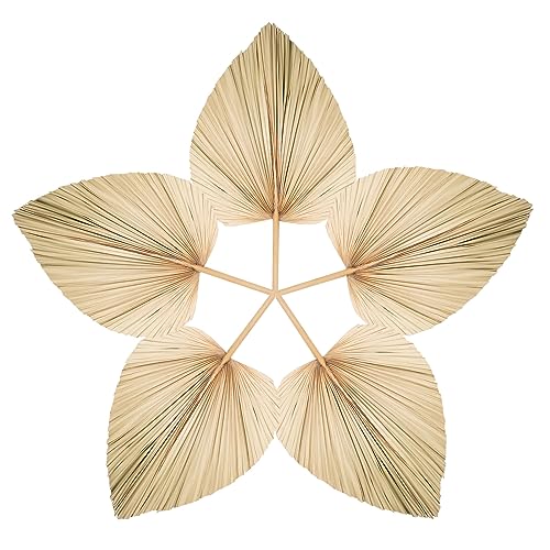 Chenkaiyang 5 Pcs Large Natural Boho Dried Palm Leaves Fans with Stem, Natural, Tropical Palm...