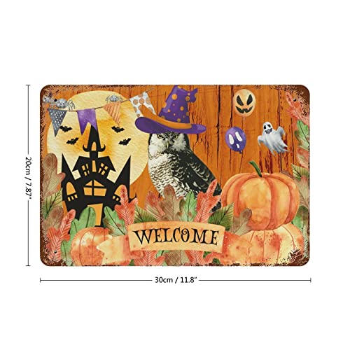 Panneau Halloween aluminium cadeau maison original a suspendre 30x45 - 3