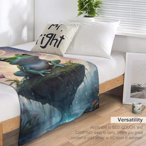 Couvertures douce et moelleuse grenouille grand format 180×200cm