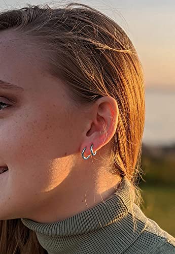 4 Pairs 316L Surgical Stainless Steel Small Huggie Hoop Earrings Set Hypoallergenic Hoops Cartilage Helix Lobes Hinged Sleeper Earrings For Men Women For Multiple Piercings (6/8/10/12Mm Silver,4 Pairs) #TOP2