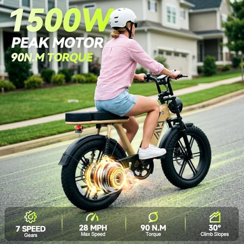 Image of TS TST GRP LLC Electric Bike for Adults, 20 inch x4.0 Fat Tire Retro E Bike