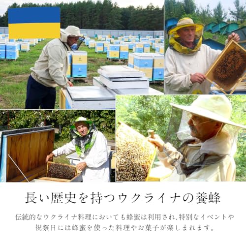 BeeWorks 正栄 ヨーロッパ産 純粋はちみつ(ポリ) 500g の商品画像 6