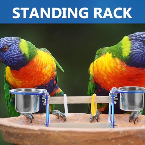 Lugar de ejercicio y entretenimiento para mascotas con percha interactiva de loros 6