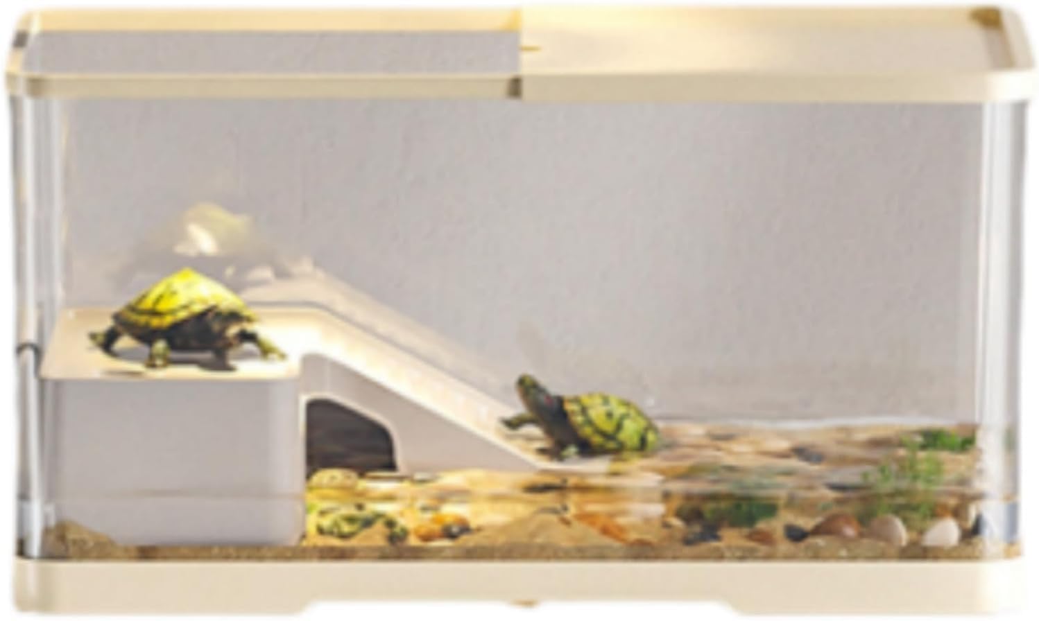 GLASS TERRARIUM ヒョウモントカゲモドキ・リクガメ用 爬虫類ゲージ