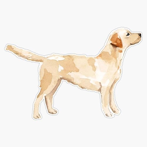 MAGNET - Adhesivo magnético impermeable con diseño de silueta de laboratorio amarillo para automóvil, 5 pulgadas