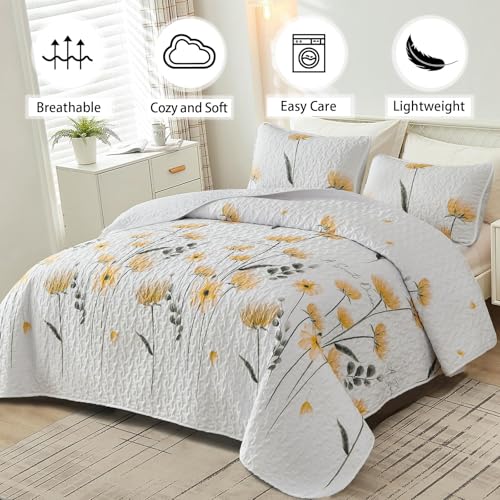 View 3