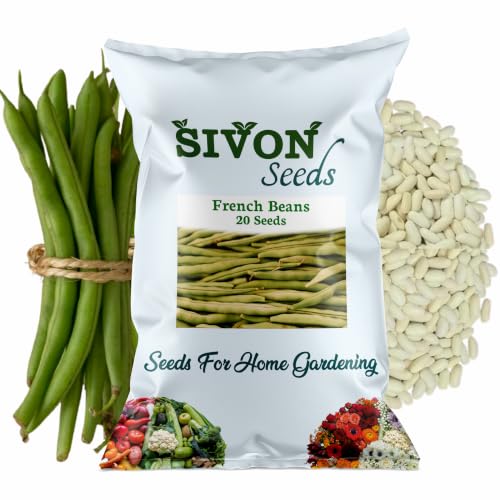 Image of SIVON French Beans (French Beans) (20 Seeds) Vegetable Seeds for Home Garden, Organic & Hybrid, Perfect for Home Gardening, Planting For Pots and Patio
