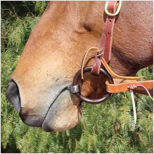 Mors snaffle Professional's Choice AV Sweet Iron Twist Ring 5,25 pouce - 3