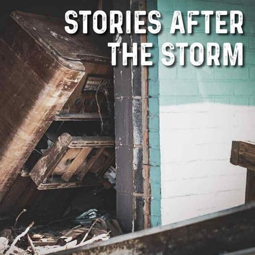 Stories After the Storm - Looking Forward