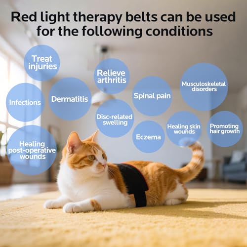 Red Light Therapy for Dogs,Wearable Infrared Light Therapy Belt for Pets Wounds Repair,Joint & Back Pain Relief,12.8 × 6.8 in 660/850 nm 80-LED Pad - Image 5
