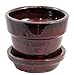 Glazed Ceramic Pot/Saucer - Tropical Red - 4 3/8