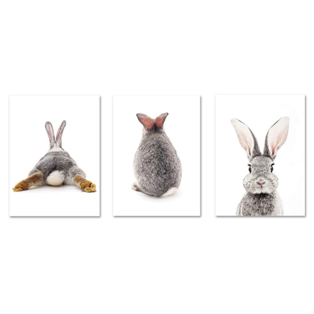 ZHANGSHAIFFBH Canvas Art Painting Grey Rabbit Animal Posters and Prints Cute Bunny Wall Art Nursery Decorative Picture Nordic Kids Decoration 30x40cm(11.8"x15.7) x3 No Frame