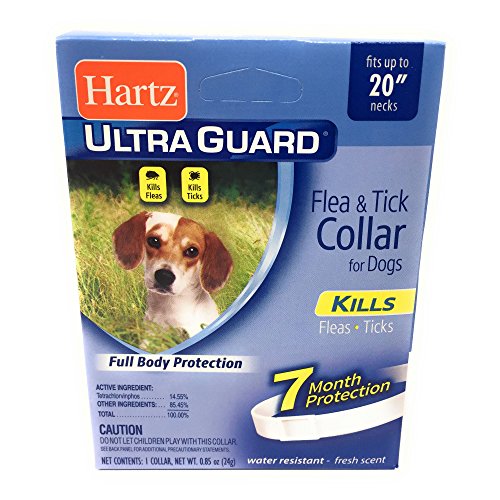 HARTZ Flea Collar for Small Dogs Waterproof 7 Months Protection Fits Necks Up to 20 Inches