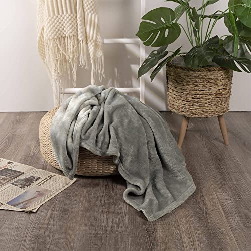 Image of NANPIPER Baby Blankets, Super Soft Fleece Fuzzy Blanket for Toddler, Luxury Cozy Lightweight Microfiber Plush Blanket-Throw Size 30 inchx40 inch,Grey
