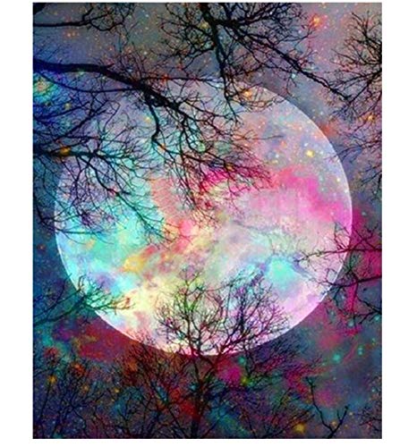CANDYL DIY Acrylic Painting Paint by Number Moon Kit for Kids Adults Students Beginner Diy Canvas Painting by Numbers Acrylic Oil Painting Arts Craft for Home Wall Decoration Bright Moon 16x20 Inch