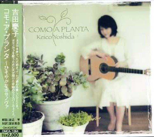 ボサノバ 日本人おすすめのボサノバシンガーを紹介