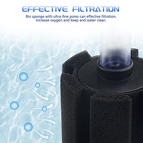 WMYCONGCONG 6 PCS Fish Tank Aquarium Soft Biochemical Sponge Filter for 10-20 Gallon Breeding Fry Betta Shrimp Fish Tank