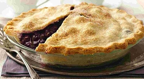 Andy Anand Freshly Baked Blueberry Pie, Never Frozen, Flaky Crust, Delicious, Divine, Delectable Gourmet In Gift Box, Birthday, Valentine, Christmas Mothers Fathers Day (3 Lbs) #TOP28