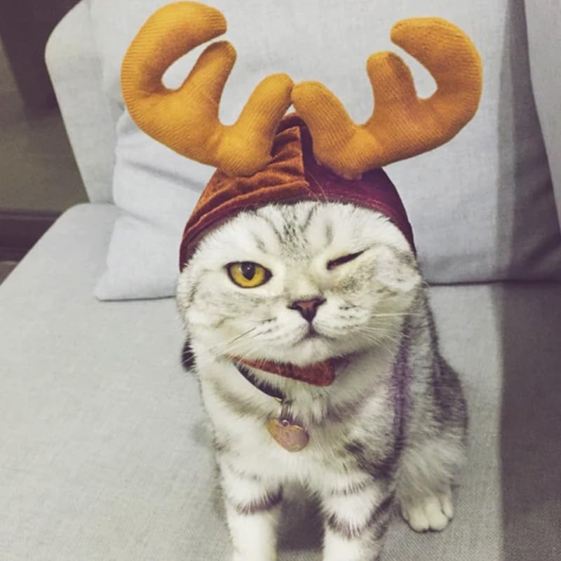 Sombrero con astas de reno para gato Navidad pequeño miniatura 3