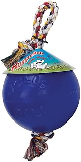 Jolly Pets Romp-n-Roll Ball Dog Toy Size: 6