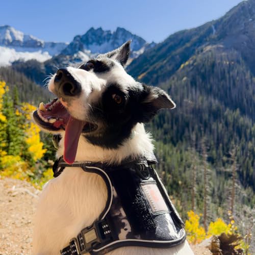 Image of AUROTH Dog Harness for Small Medium Dogs, Tactical No Pull Dog Vest