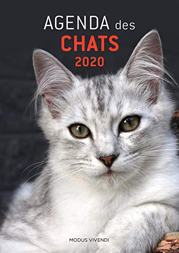 Agenda des chats Agenda des chats