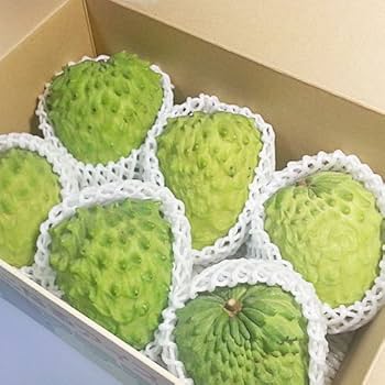 Amazon.co.jp: 沖縄県産 アテモヤ 約2kg (4-12玉) あてもやは森