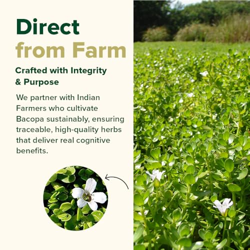 Image of VAHDAM Brahmi Capsules 1000mg | Bacopa Monnieri for Memory, Focus & Cognitive Performance | Dual Extract: Whole Herb + 20% Saponins Standardised Extract | 60 Veg Capsules | Brain Supplement