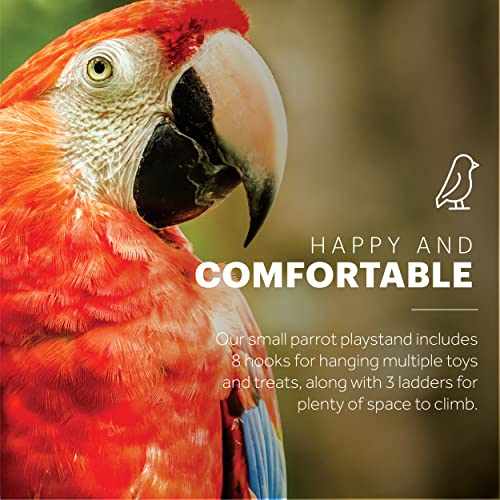 Image of Prevue Pet Products Small Parrot Playstand with Wheels, Bird Stand Activity Play Center with Perches and Ladders, Indoor Outdoor Playground for Birds with Swing, Black Hammertone Finish