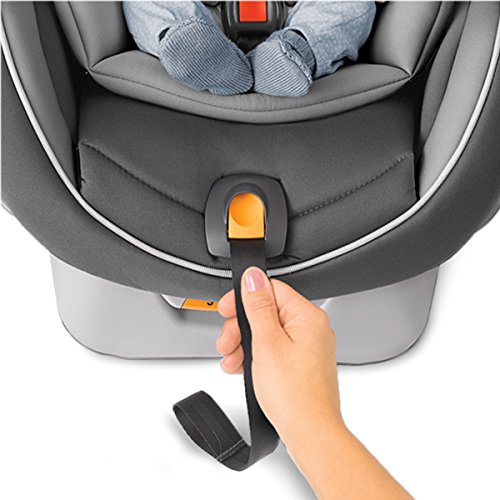 chicco nextfit spectrum