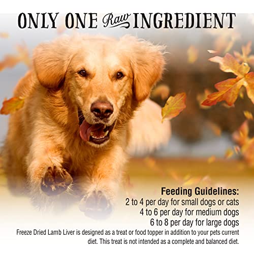 Northwest Naturals Raw Rewards Freeze-Dried Treats For Dogs And Cats – Lamb Liver – Gluten-Free Pet Food – 3 Oz. #TOP3
