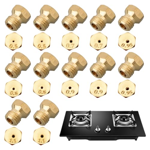12 Pièces Gicleur Gaz Butane,Gicleur Gaz de Ville,Plaque de Cuisson au Gaziniere Naturel Jets,0.5/0.7/0.8/0.9/0.95/1.1 mm Kit de Conversion