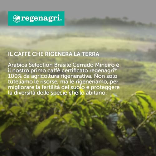 Illy café en grains arabica sélection brésil cerrado mineiro - vue 6