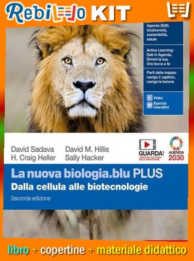 I colori degli articoli sono inviati in modo casuale.
