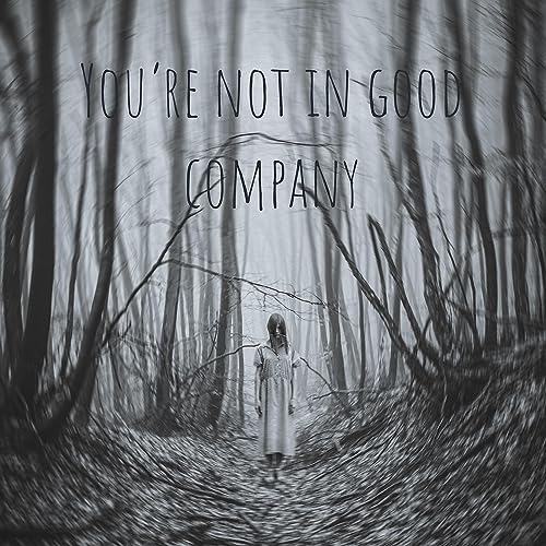 Couverture de You&rsquo;re not in good company