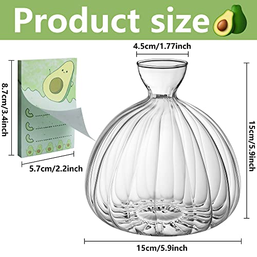 Avocado Seed Starter Kit for Plant Gardening Lovers